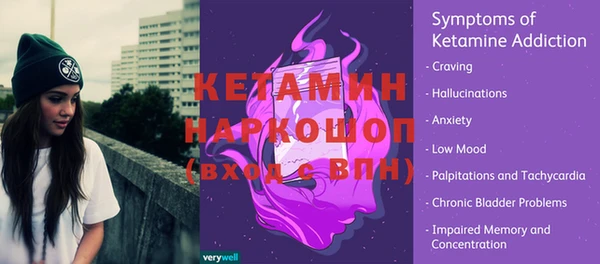 сатива Бородино