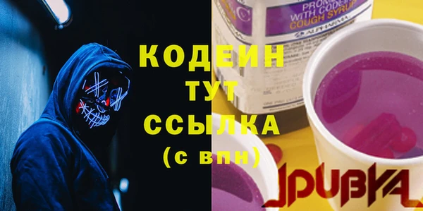 ешки Бронницы