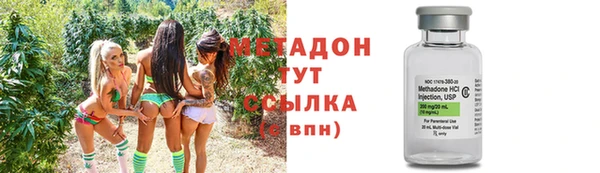 сатива Бородино