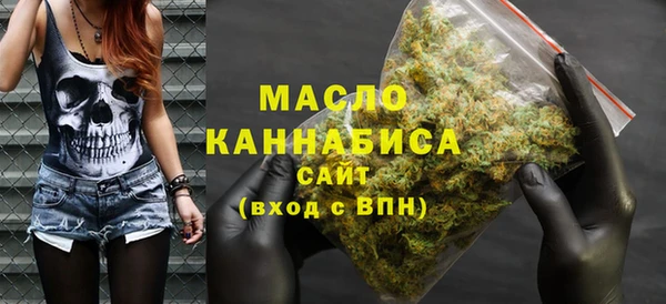 сатива Бородино