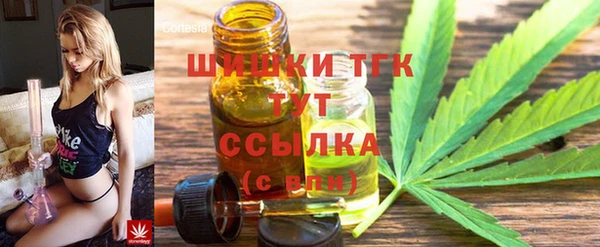 ешки Бронницы