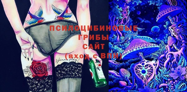 ешки Бронницы