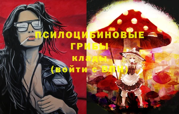 молекула духа Бугульма