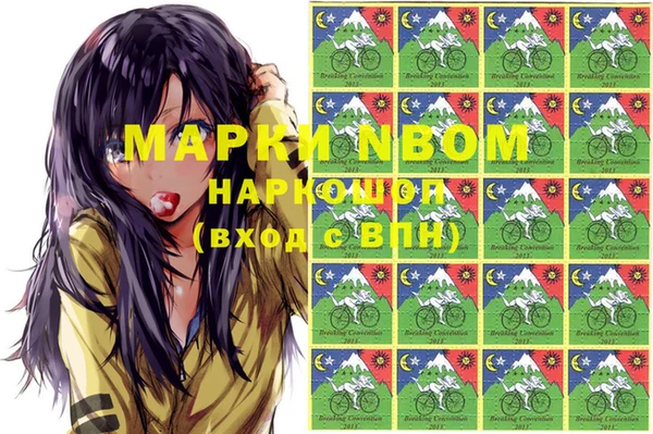 ешки Бронницы
