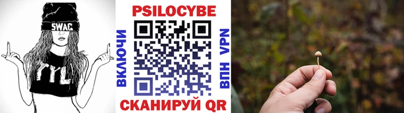 omg маркетплейс  площадка какой сайт  Галлюциногенные грибы GOLDEN TEACHER  Тогучин 